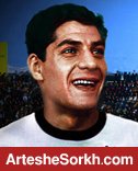 خزان پا طلائی