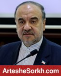 سلطانی فر: کمیته واگذاری سرخابی ها تشکیل می شود