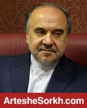 سلطانی فر: واگذاری سرخابی ها تا پایان پاییز انجام می شود