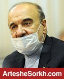 سلطانی فر: سرخابی ها بیش از 2 برابر بدهی خود سرمایه دارند