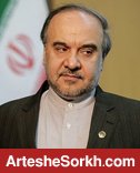 سلطانی فر: برنامه واگذری سرخابی ها به تایید رسید